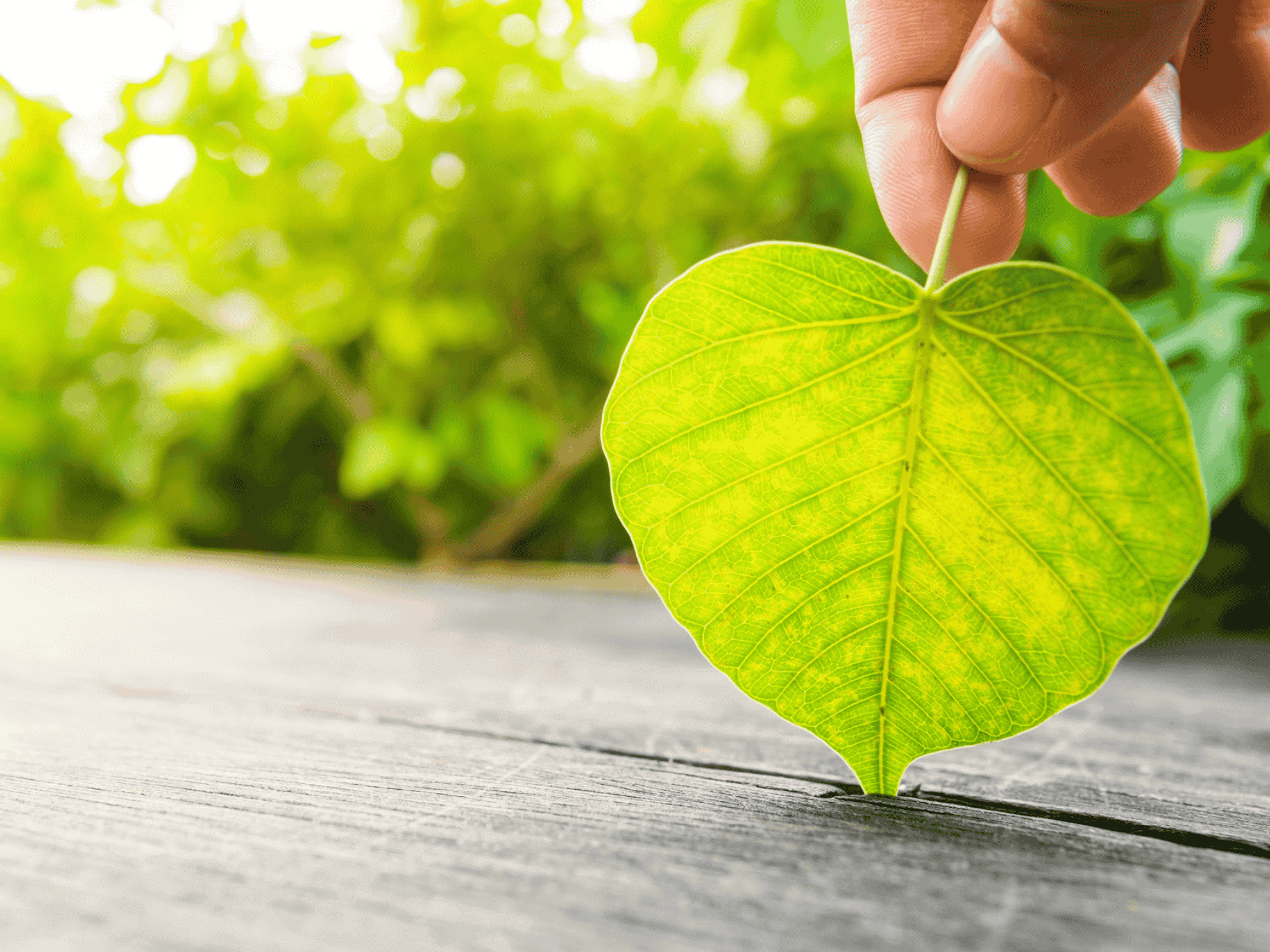 Fenntarthatósági szemléletünk Animo Kft